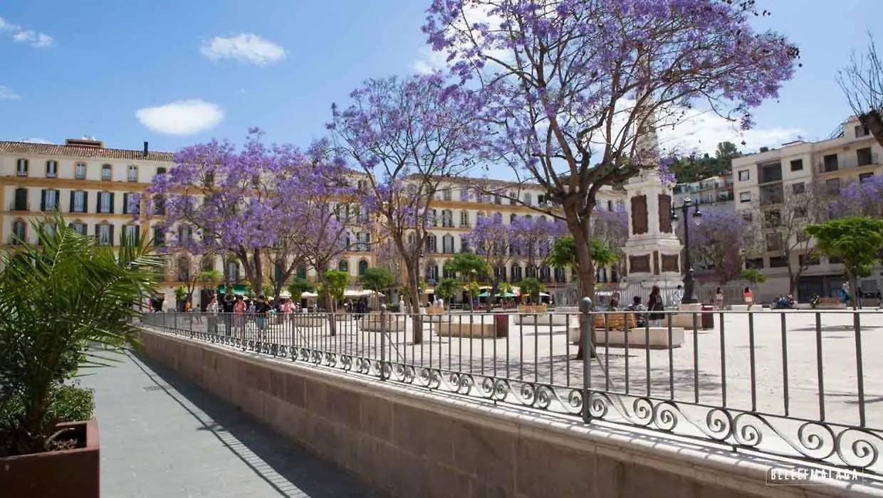 Cruz Verde Suite Malaga 3 Rooms+3 Bathrooms 0*,  Spain